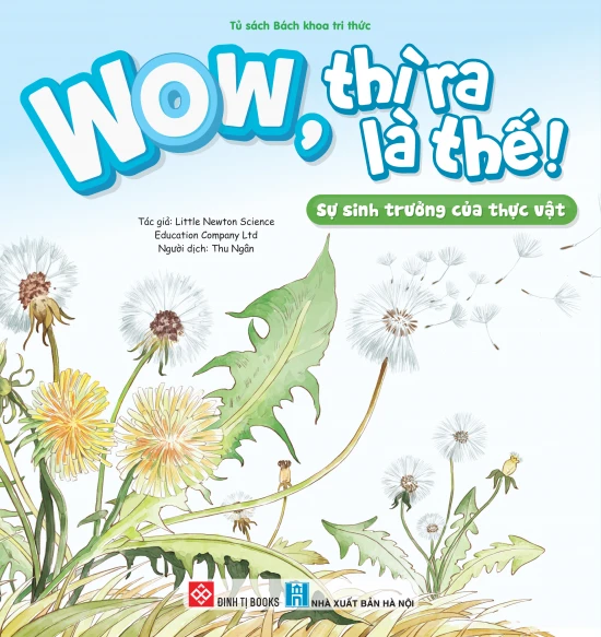 Wow, thì ra là thế! - Sự sinh trưởng của thực vật