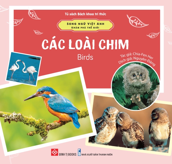 Song ngữ Việt Anh - Khám phá thế giới - Các loài chim - Birds