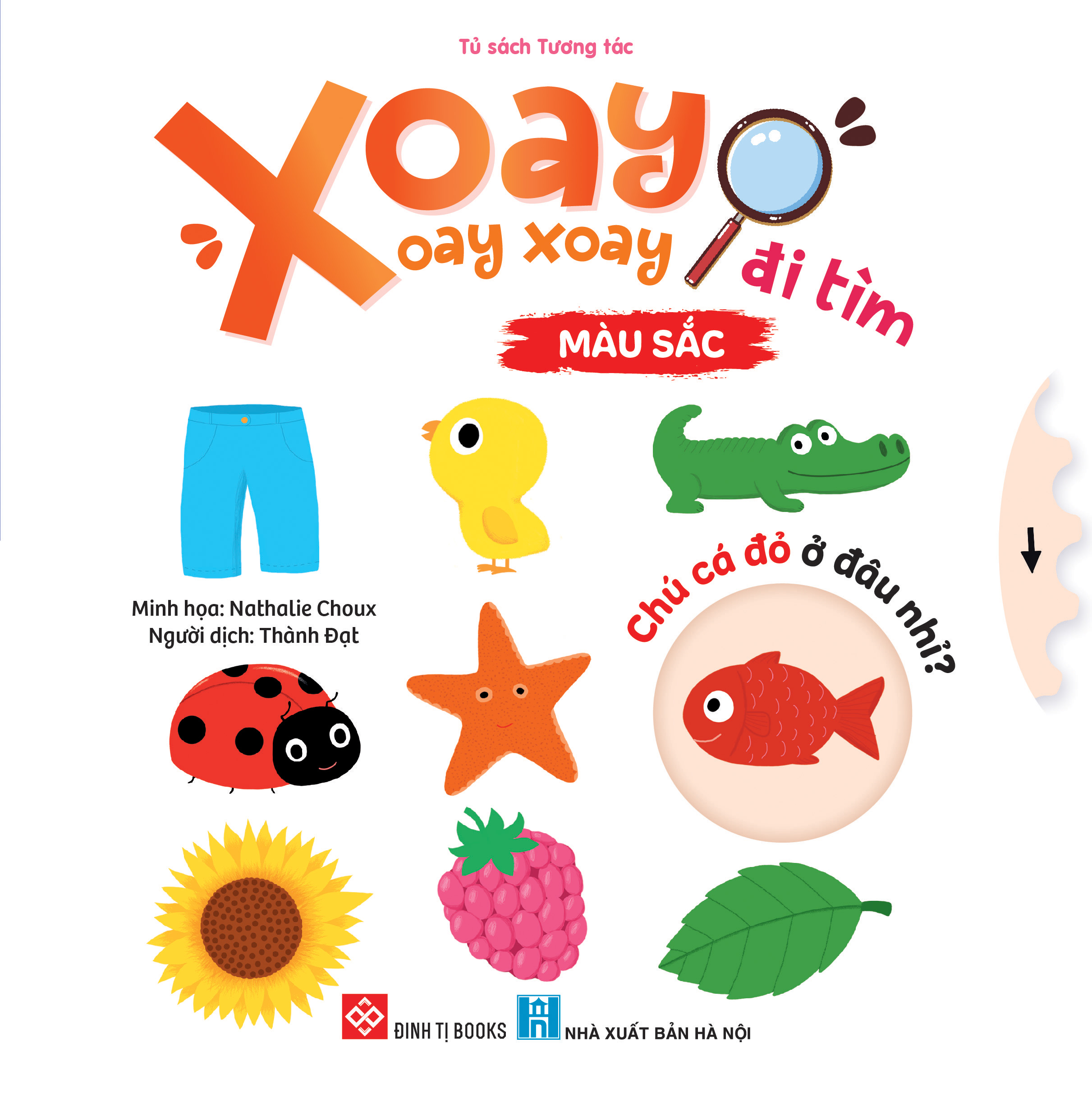 Xoay xoay xoay - Đi tìm... - Màu sắc | Đinh Tị Books